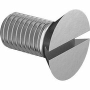 BSC PREFERRED 18-8 Stainless Steel Slotted Flat Head Screw 1/4-28 Thread Size 1/2 Long, 50PK 91781A557